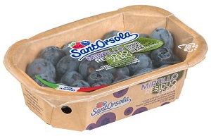 Compostable Lidding Solution for Blueberry Trays