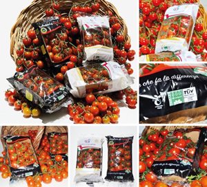 Gi. St. El. Plast Adopts NatureFlex for Tomato Wrapping